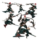 Warhammer 40k: Drukhari: Hellions