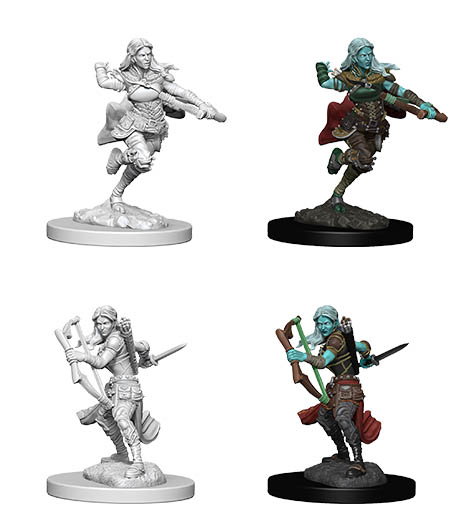 D&D Nolzur's Marvelous Miniatures: Air Genasi Rogue