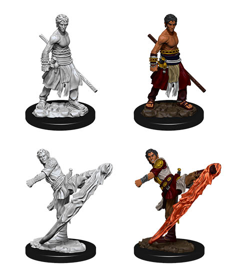 D&D Nolzur's Marvelous Miniatures: Half-Elf Monk