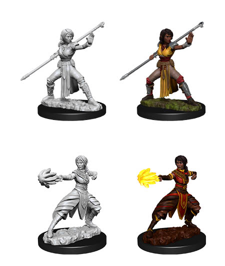 D&D Nolzur's Marvelous Miniatures: Half-Elf Monk 2