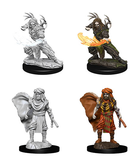 D&D Nolzur's Marvelous Miniatures: Human Druid 3