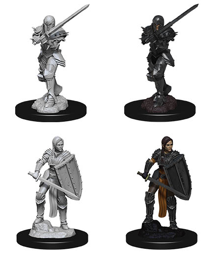 D&D Nolzur's Marvelous Miniatures: Human Fighter 2