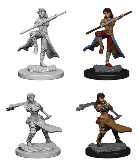 D&D Nolzur's Marvelous Miniatures: Human Monk