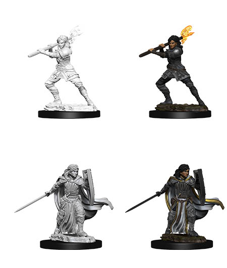 D&D Nolzur's Marvelous Miniatures: Human Paladin 2