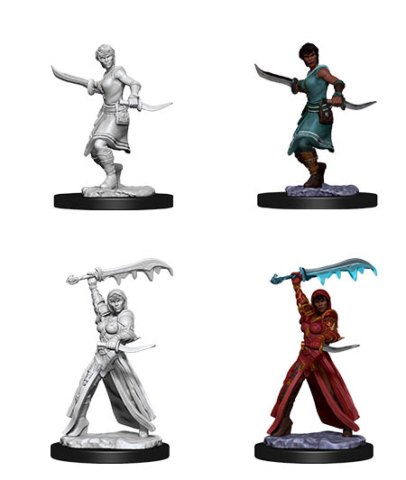 D&D Nolzur's Marvelous Miniatures: Human Rogue 2