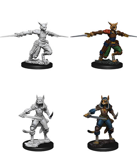 D&D Nolzur's Marvelous Miniatures: Tabaxi Rogue 2