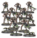 Warhammer 40k: Necrons: Warriors