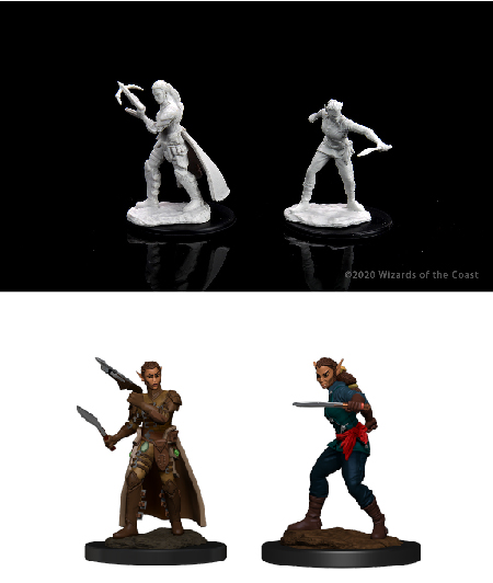 D&D Nolzur's Marvelous Miniatures: Shifter Rogue