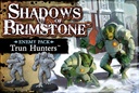 Shadows of Brimstone: Trun Hunters Enemy Pack