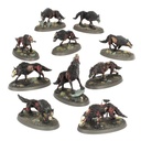 Warhammer AoS: Soulblight Gravelords: Dire Wolves