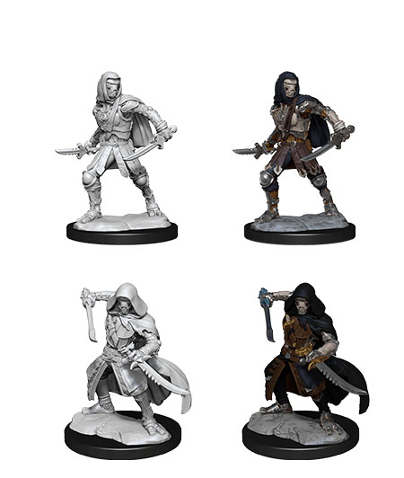 D&D Nolzur's Marvelous Miniatures: Warforged Rogue