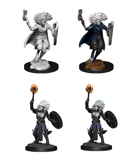 D&D Nolzur's Marvelous Miniatures: Changeling Cleric