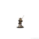 D&D Icons of the Realms: Premium Miniatures: Halfling Fighter Male