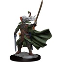 D&D Frameworks: Elf Ranger Male