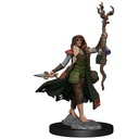 D&D Frameworks: Human Druid Female