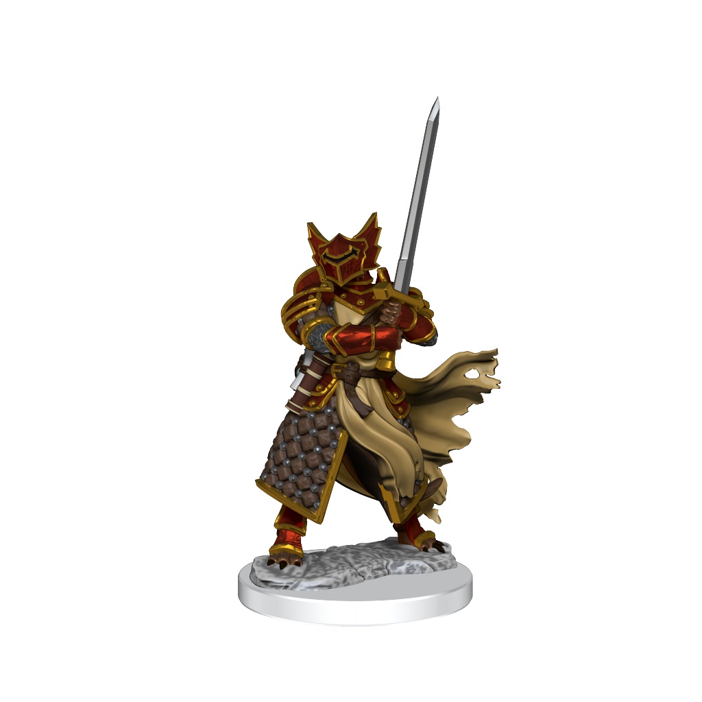 D&D Frameworks: Dragonborn Paladin Male