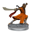 D&D Frameworks: Elf Monk Male