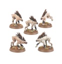 Warhammer 40k: Tau Empire: Kroot Hounds