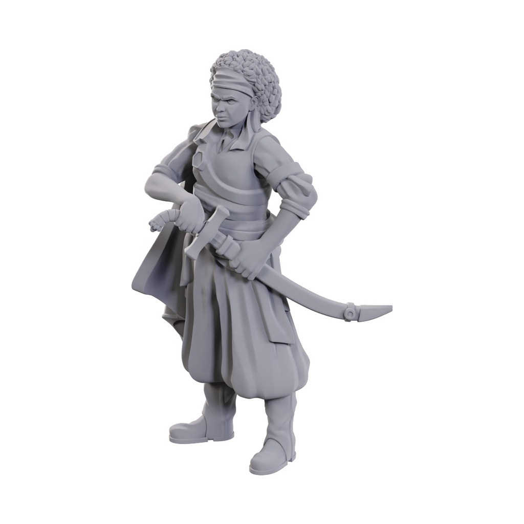 D&D Nolzur's Marvelous Miniatures: Ansalon Human Rogue