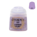 Citadel Dry Paint: Lucius Lilac