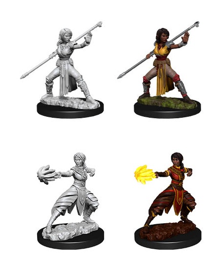 [WZK-73839] D&D Nolzur's Marvelous Miniatures: Half-Elf Monk 2