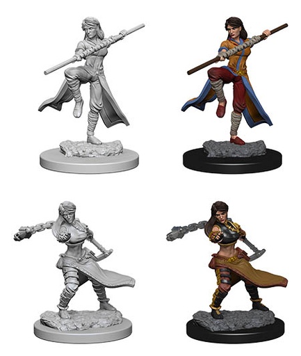 [WZK-72634] D&D Nolzur's Marvelous Miniatures: Human Monk