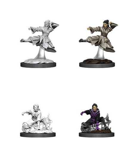 [WZK-90008] D&D Nolzur's Marvelous Miniatures: Human Monk 3