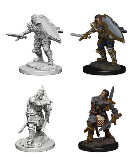 [WZK-72629] D&D Nolzur's Marvelous Miniatures: Human Paladin