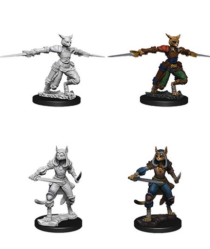 [WZK-73708] D&D Nolzur's Marvelous Miniatures: Tabaxi Rogue 2