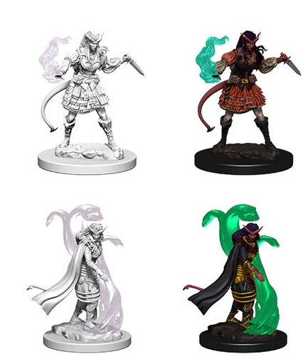 [WZK-73202] D&D Nolzur's Marvelous Miniatures: Tiefling Sorcerer 2