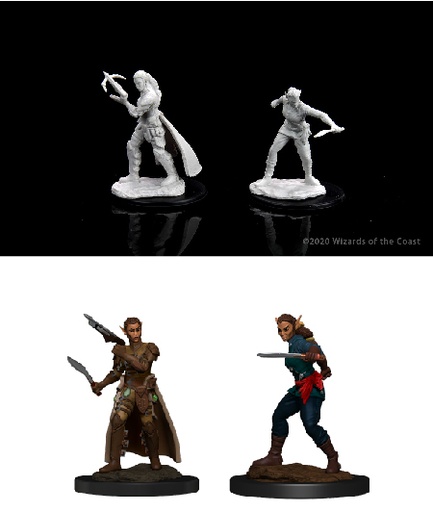 [WZK-90148] D&D Nolzur's Marvelous Miniatures: Shifter Rogue