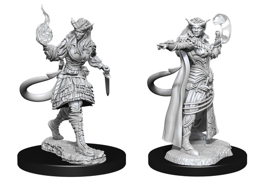 [WZK-90304] D&D Nolzur's Marvelous Miniatures: Tiefling Sorcerer 5