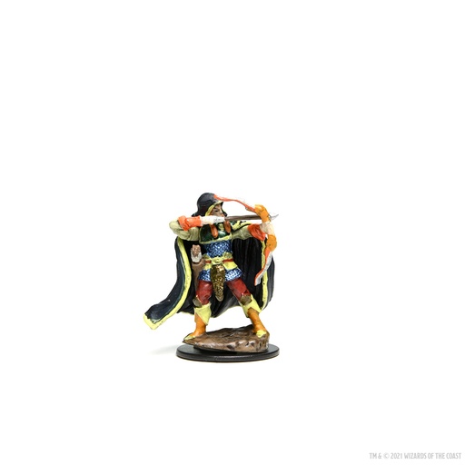 [WZK-93048] D&D Icons of the Realms: Premium Miniatures: Elf Rogue Male