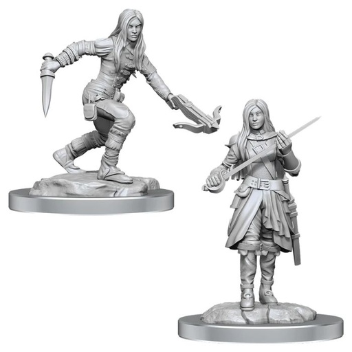 [WZK-90485] D&D Nolzur's Marvelous Miniatures: Half-Elf Rogues