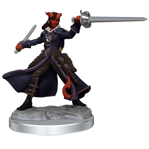 [WZK-75020] D&D Frameworks: Tiefling Rogue Female