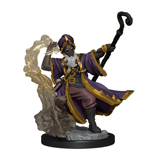 [WZK-75030] D&D Frameworks: Human Wizard Male