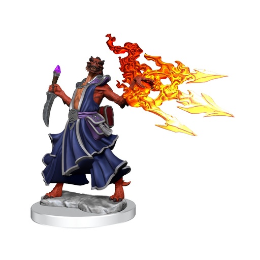 [WZK-75035] D&D Frameworks: Dragonborn Sorcerer Female