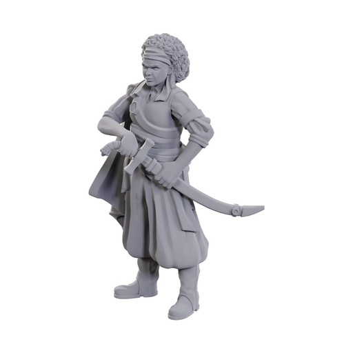 [WZK-90110] D&D Nolzur's Marvelous Miniatures: Ansalon Human Rogue