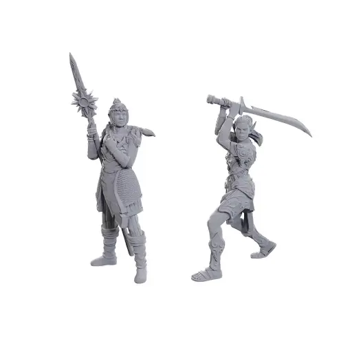 [WZK-96365] D&D Nolzur's Marvelous Miniatures: Special Edition Baldur's Gate 3: Lae'zel & Shadowheart