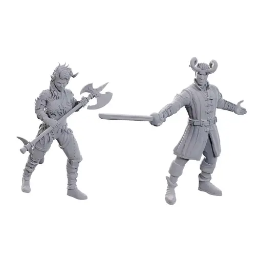 [WZK-96367] D&D Nolzur's Marvelous Miniatures: Special Edition Baldur's Gate 3: Wyll & Karlach