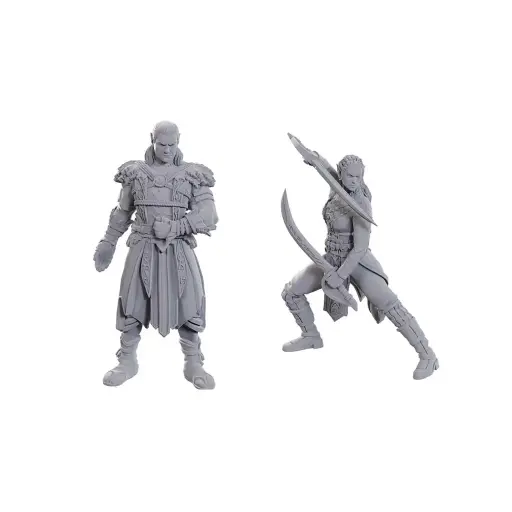 [WZK-96368] D&D Nolzur's Marvelous Miniatures: Special Edition Baldur's Gate 3: Jaheira & Halsin